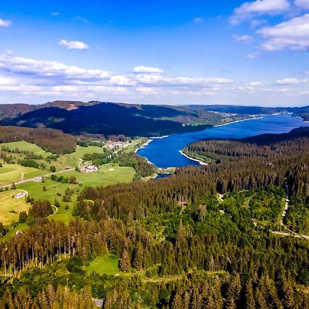 Spechtsboden C4- Hochwertige Ferienwohnung Mit 2 Schlafzimmer In Todtnauberg- Ski In And Ski Out, Feldberg Eksteriør billede